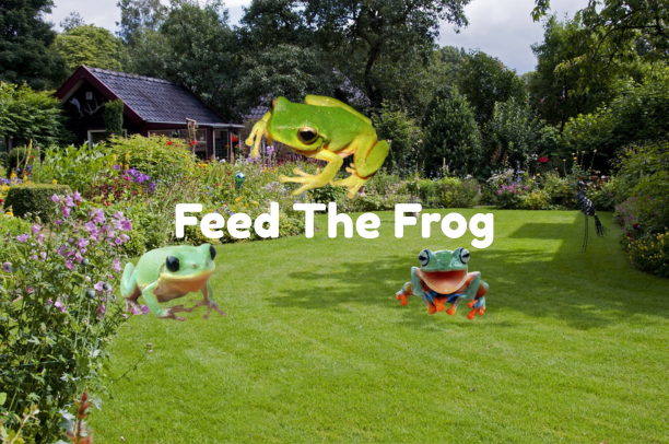 Feed The Frog